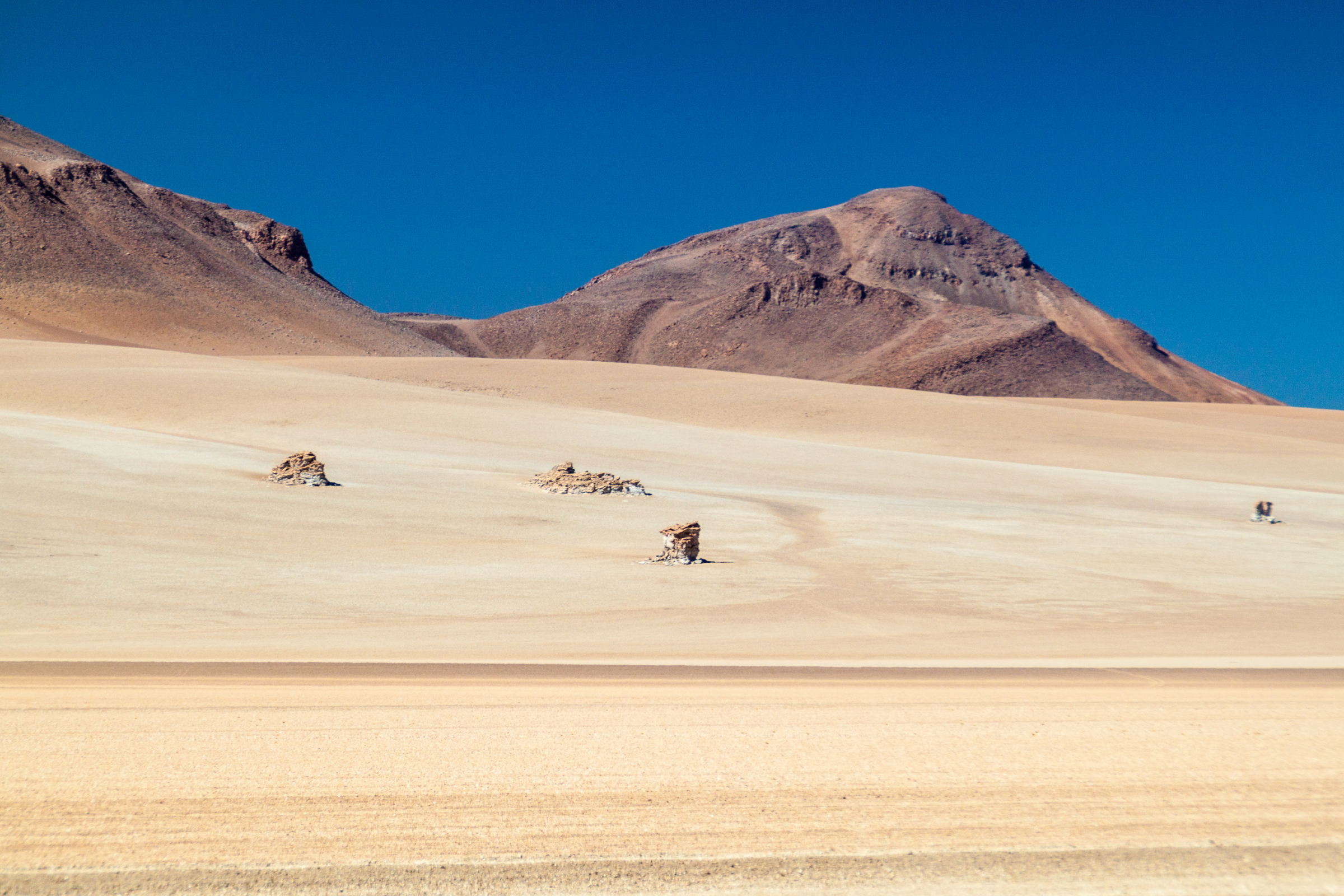 eduardo avaroa national reserve (2).webp